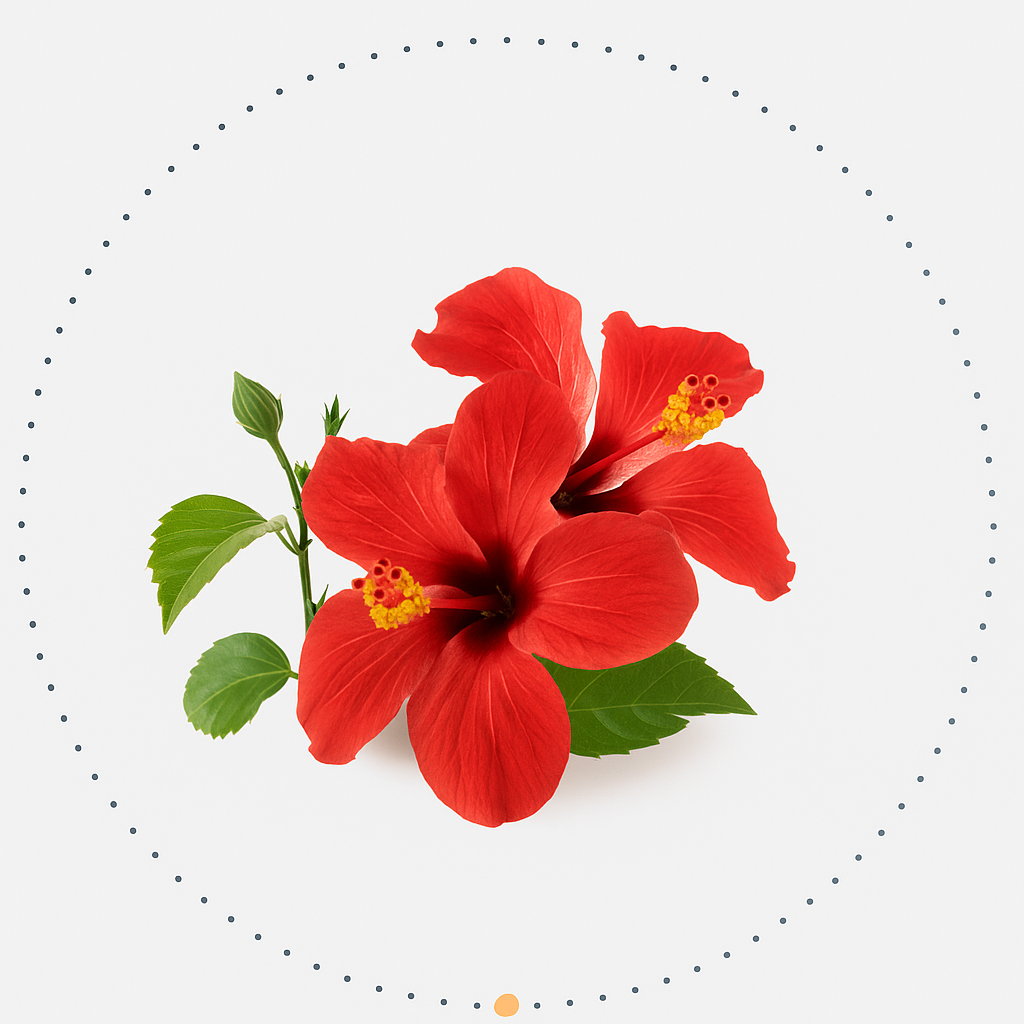 B8CF3610 E9BD 4D96 8618 2D1E5D9EF135