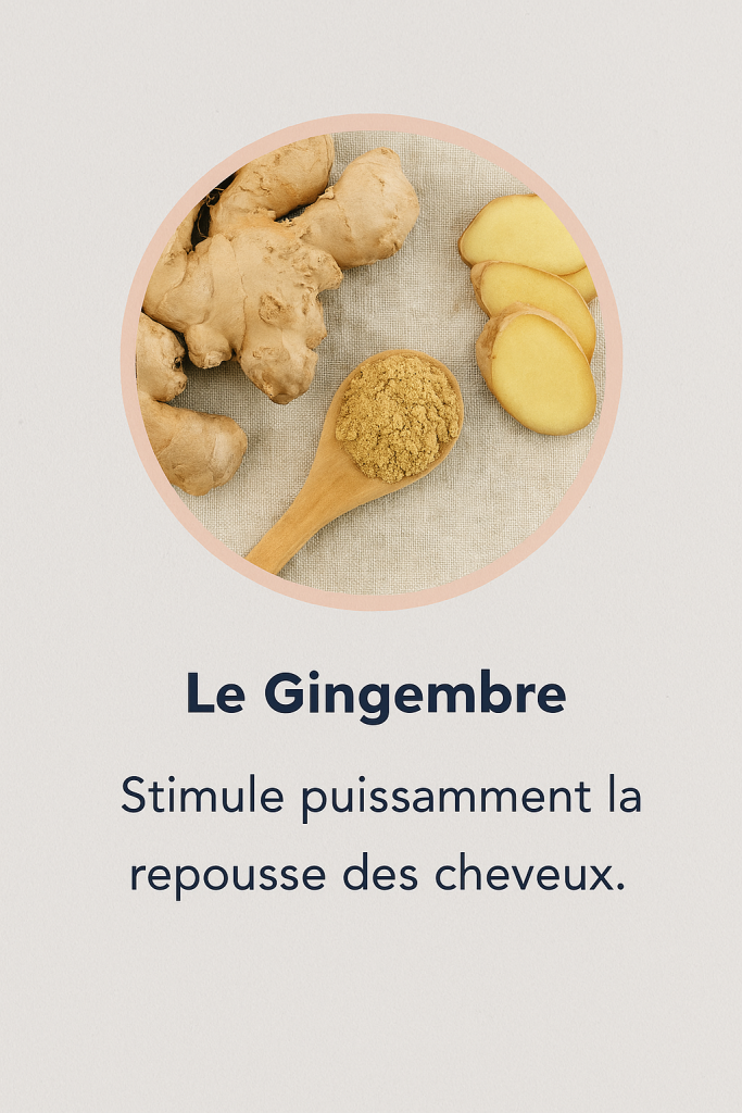 134BDE6E 031D 4357 97EC 7BF6FE4930C4